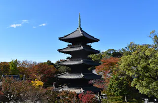 A traditional five-story Japanese pagoda stands among colorful autumn trees under a clear blue sky.