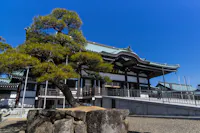 A large bonsai tree stands on rocks in front of a traditional Japanese building with a green-tiled roof under a clear blue sky.