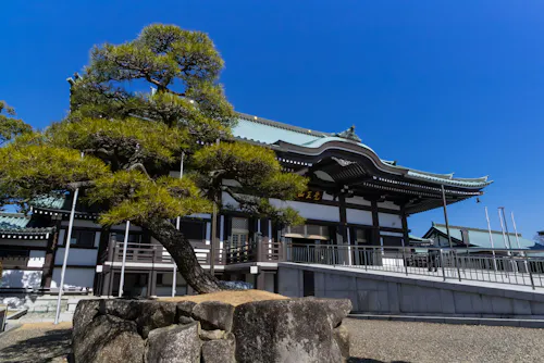 A large bonsai tree stands on rocks in front of a traditional Japanese building with a green-tiled roof under a clear blue sky.