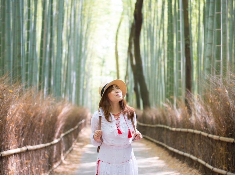 京都でのホテル送迎付きプライベート英語ガイドツアー