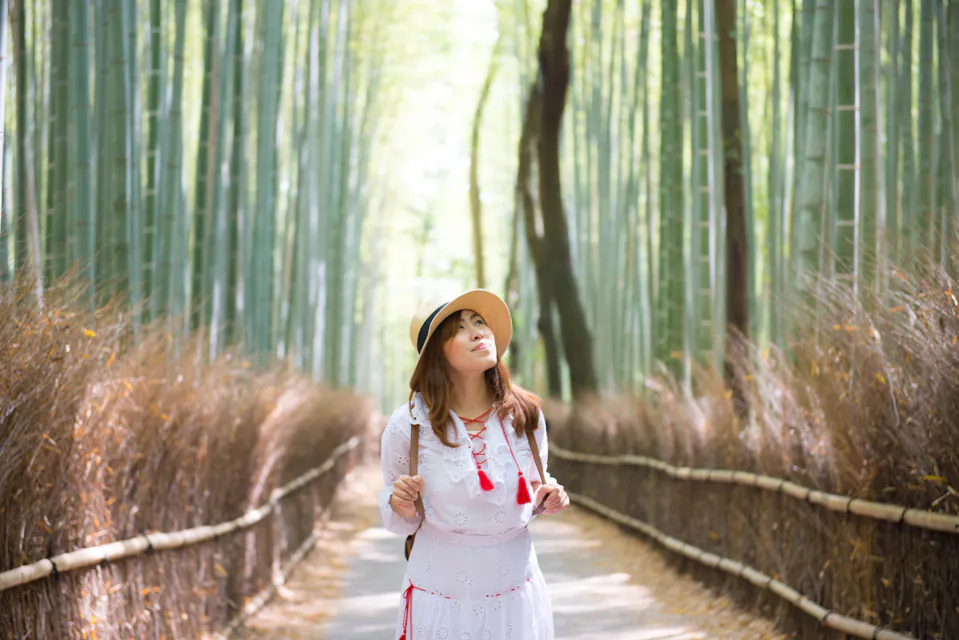 Arashiyama Bamboo Grove