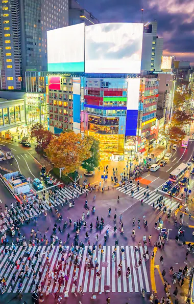 Shibuya Shibuya