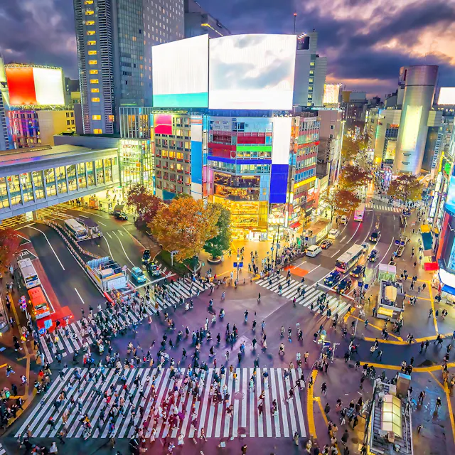 Shibuya Shibuya