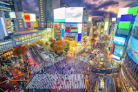 Shibuya