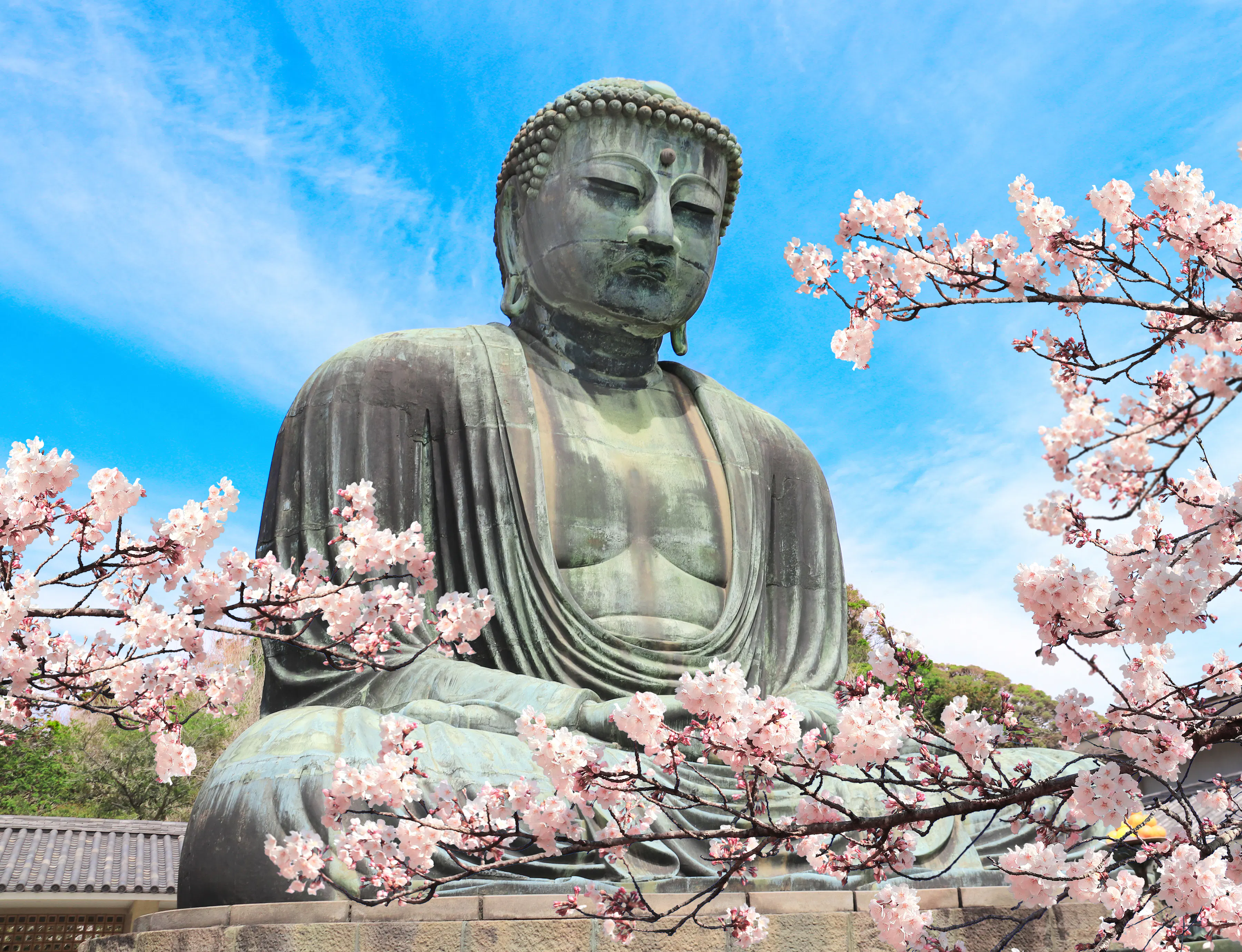 从东京到镰仓:交通与最佳路线 - Trip To Japan