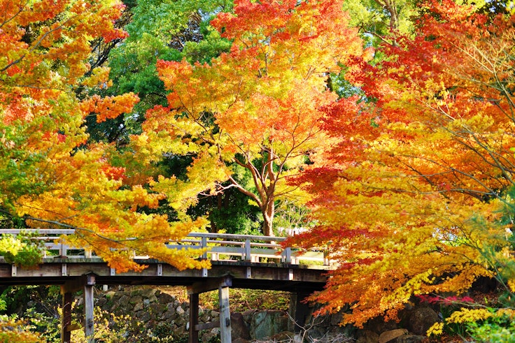 Tokugawa Garden