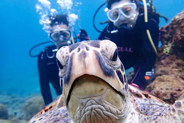 Diving in Yakushima