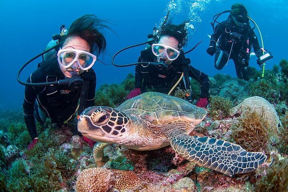 Diving in Yakushima