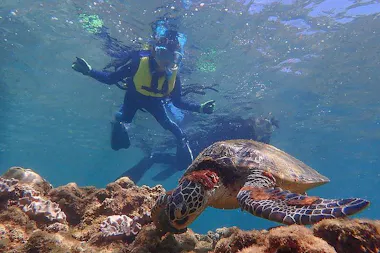 Snorkeling in Yakushima
