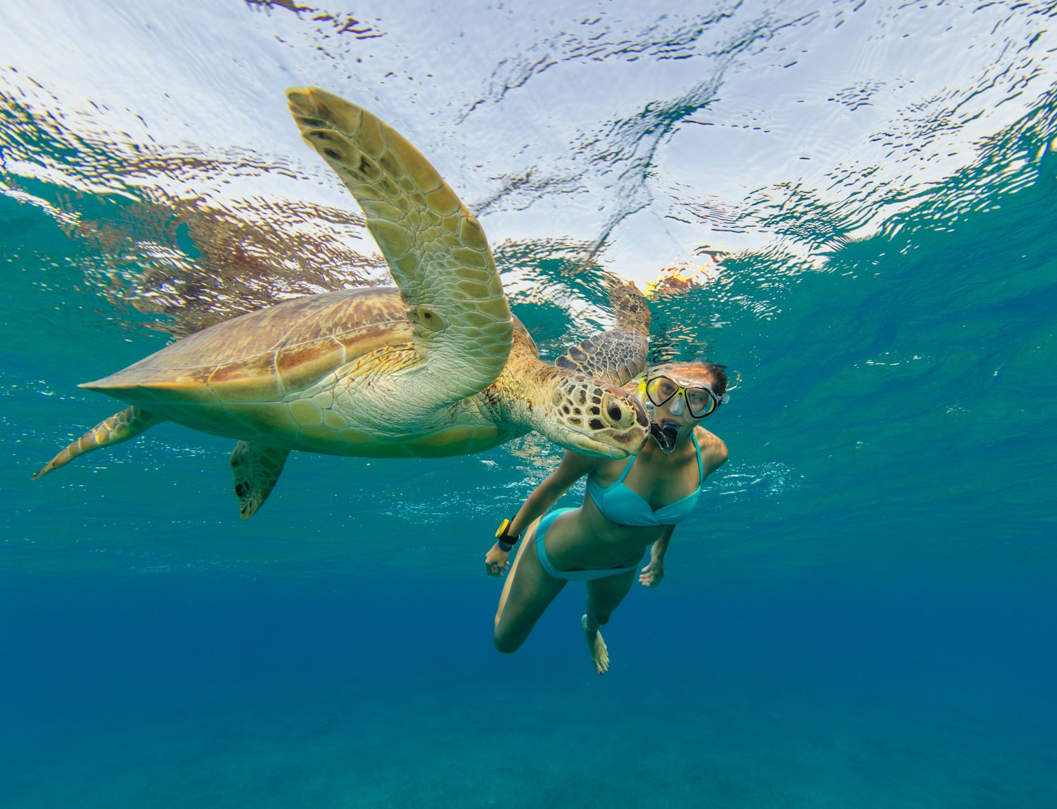 Snorkeling Snorkeling