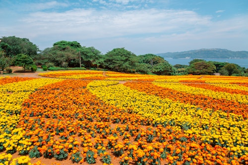 Nokonoshima Island Park