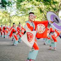 Yosakoi Matsuri (Kochi) Yosakoi Matsuri (Kochi)