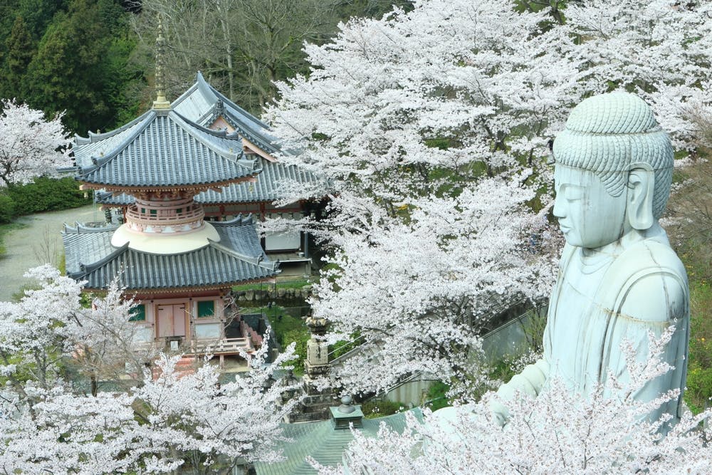Tsubosakadera Temple