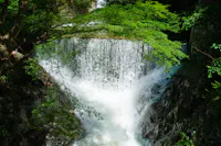A small waterfall cascades over rocks surrounded by lush green trees and foliage, with sunlight filtering through the leaves and water splashing energetically at the base.