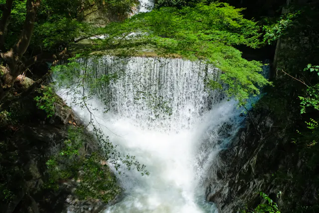 A small waterfall cascades over rocks surrounded by lush green trees and foliage, with sunlight filtering through the leaves and water splashing energetically at the base.