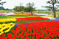 Uminonakamichi Seaside Park