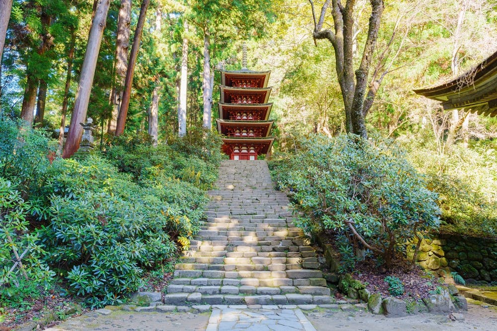Stone steps lead up through lush greenery to a red five-story pagoda surrounded by tall trees, with sunlight filtering through the leaves.