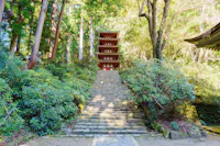Stone steps lead up through lush greenery to a red five-story pagoda surrounded by tall trees, with sunlight filtering through the leaves.