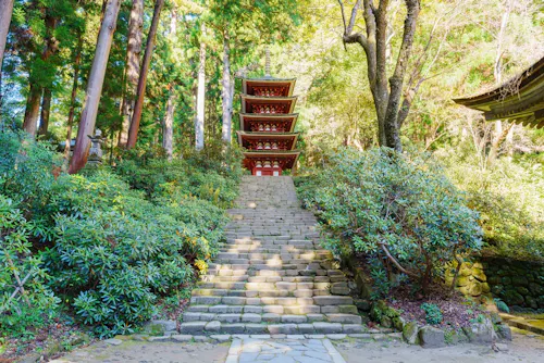 Stone steps lead up through lush greenery to a red five-story pagoda surrounded by tall trees, with sunlight filtering through the leaves.