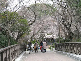 Hijiyama Park