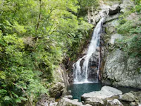 A small waterfall cascades down rocky cliffs into a clear pool, surrounded by lush green trees and dense foliage in a forest setting.