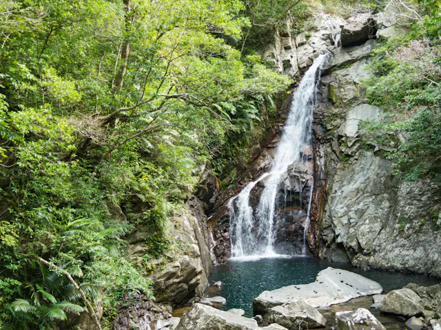 A small waterfall cascades down rocky cliffs into a clear pool, surrounded by lush green trees and dense foliage in a forest setting.