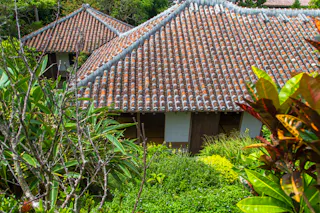 Traditional Japanese-style building with a red tiled roof surrounded by lush green plants and trees, viewed from an elevated angle. Sunlight highlights the garden foliage in the foreground.