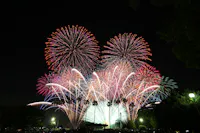 A large, colorful fireworks display lights up the night sky above a park, with bursts of red, pink, and white. Silhouettes of trees and a crowd of people are visible in the foreground.
