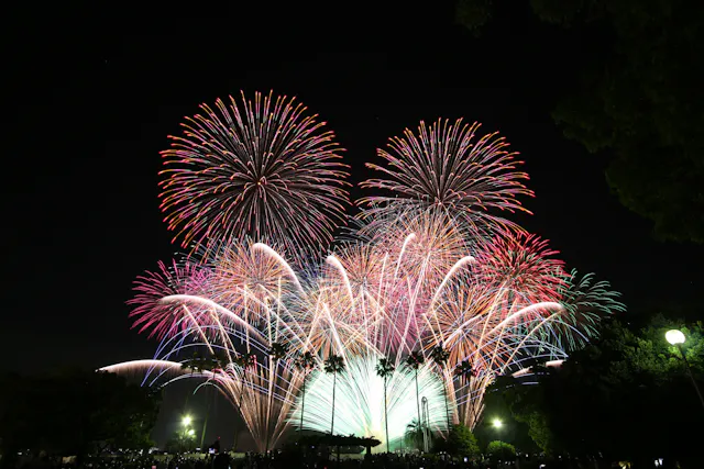 A large, colorful fireworks display lights up the night sky above a park, with bursts of red, pink, and white. Silhouettes of trees and a crowd of people are visible in the foreground.