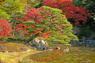 Tokyo Imperial Palace East Gardens