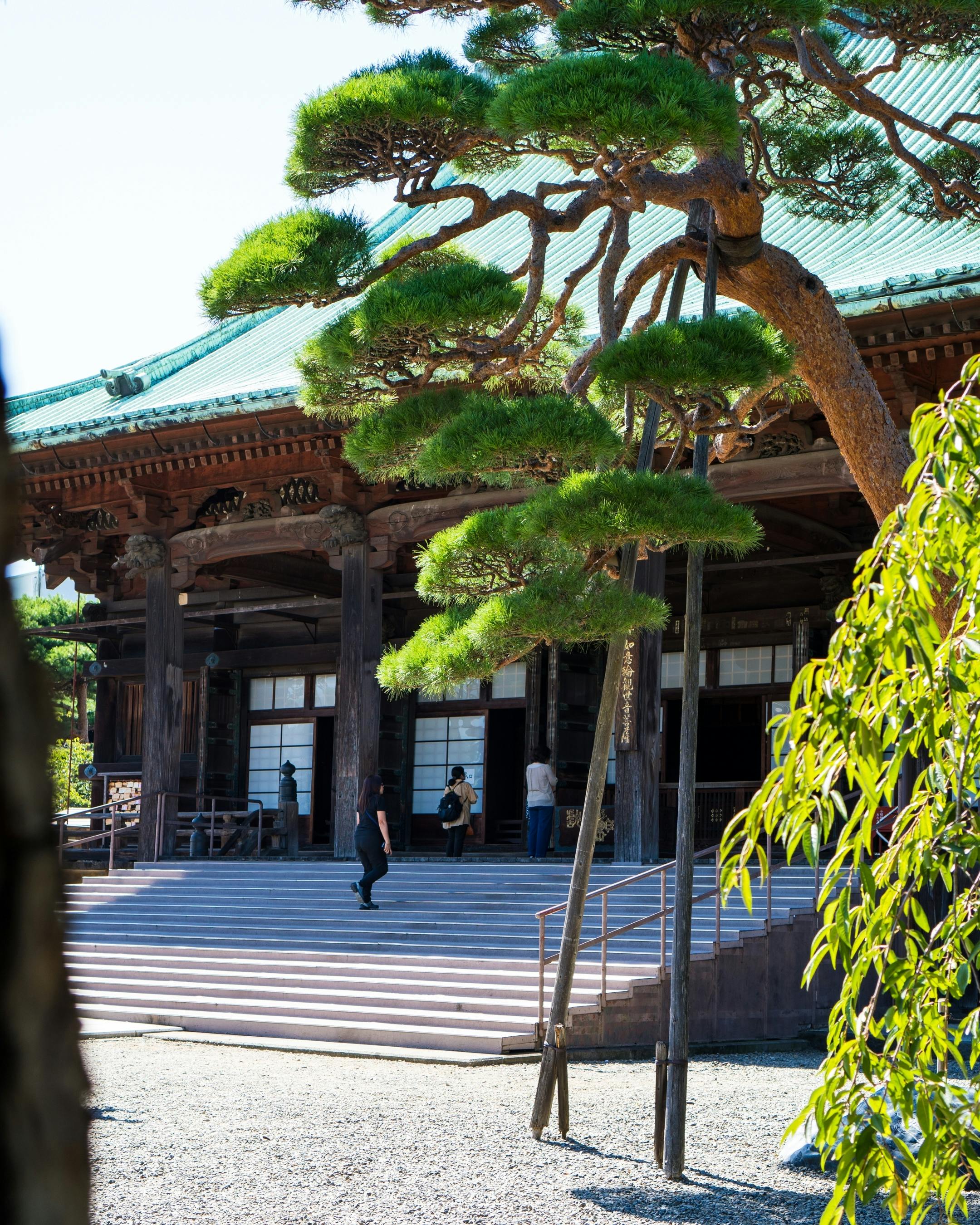 A person walks up the steps to a traditional Japanese temple with wooden pillars and a green-tiled roof, framed by manicured pine trees and lush greenery.