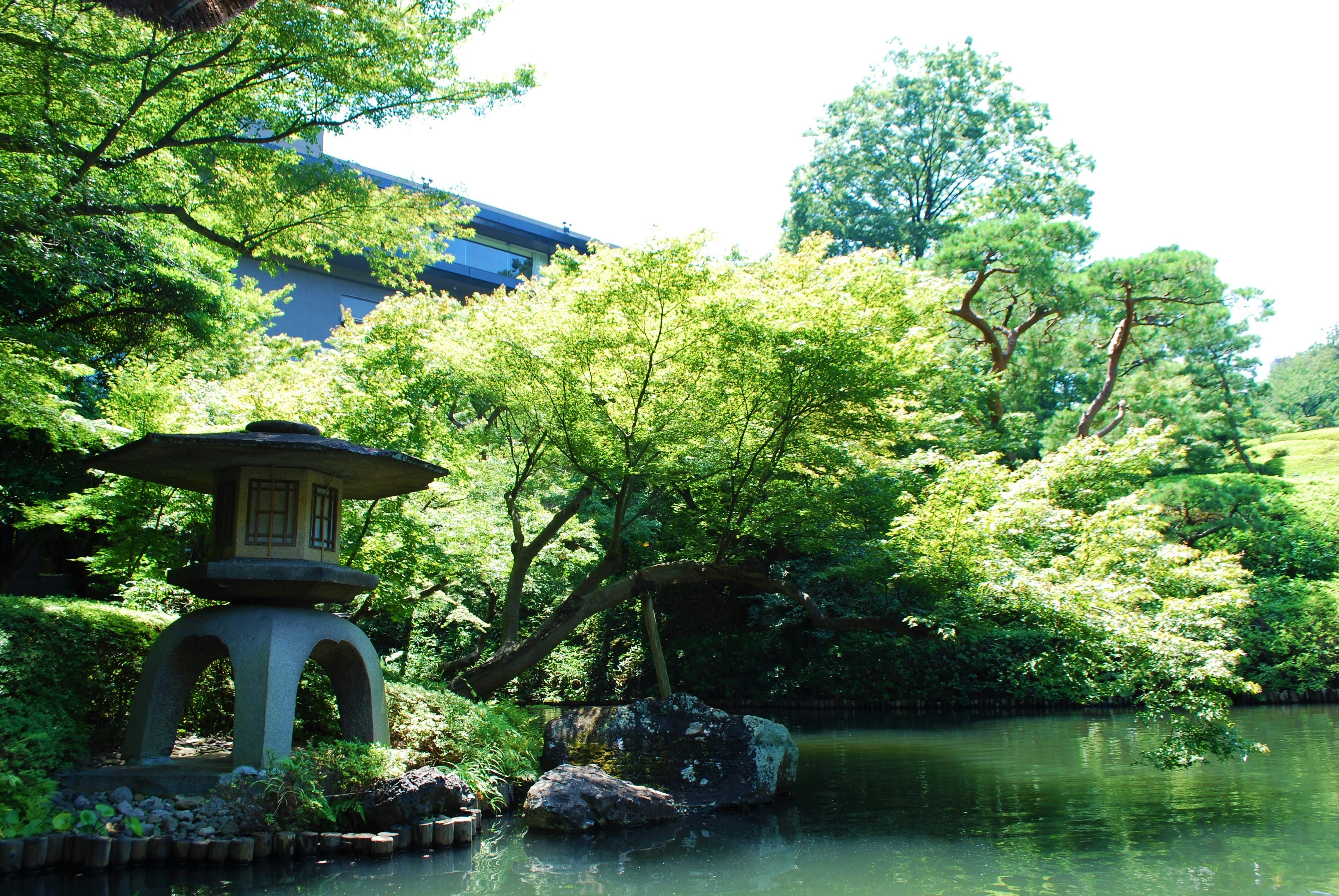A traditional stone lantern stands beside a tranquil pond, surrounded by lush green trees and foliage in a serene Japanese garden under bright sunlight.