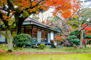 A traditional Japanese building surrounded by vibrant autumn trees with red and orange leaves, manicured bushes, and fallen leaves on the ground, creating a peaceful garden scene.