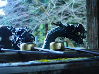 Daiyūzan Saijo-ji Temple