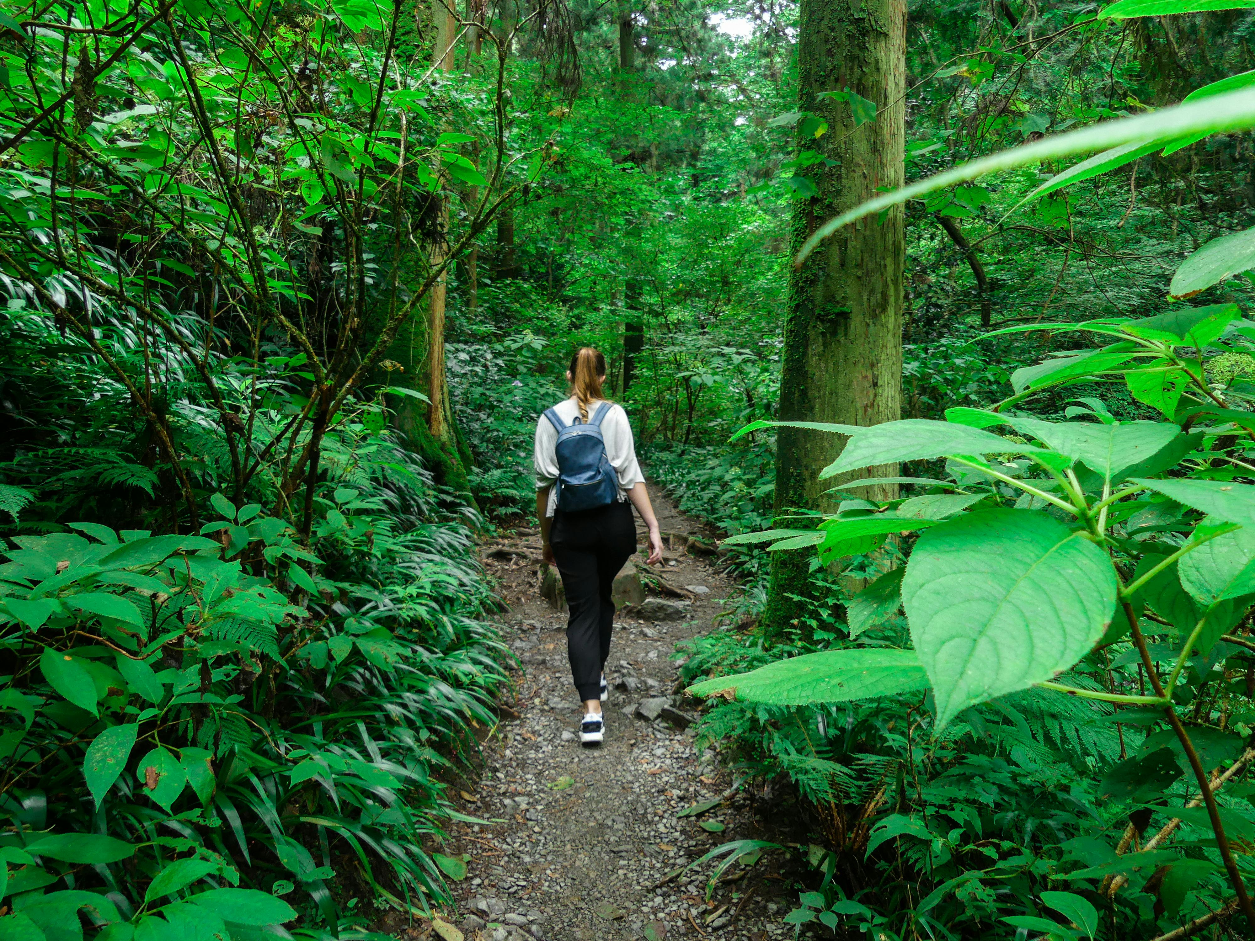 A person with a blue backpack walks along a narrow dirt trail surrounded by lush green foliage and tall trees in a dense forest.