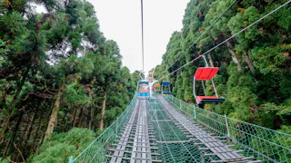 Colorful open-air chairlifts travel above green rails and safety netting through dense, tall trees, ascending into a forested area under a cloudy sky.