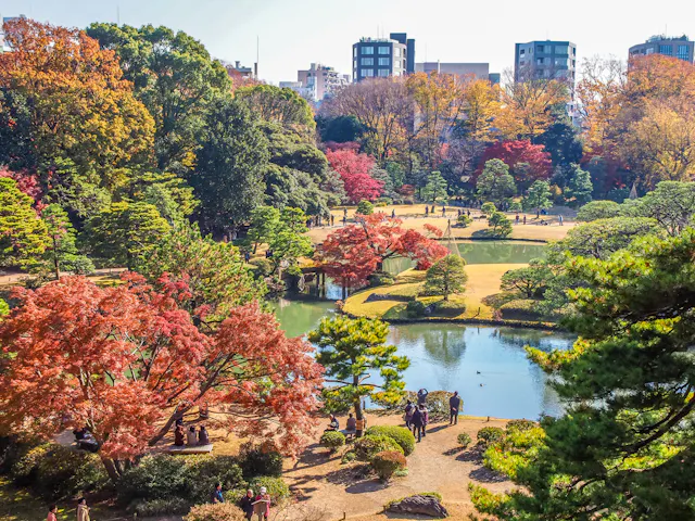 A vibrant Japanese garden in autumn with colorful trees, a pond, walking paths, and people enjoying the scenery; city buildings are visible in the background under a clear sky.