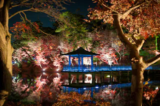 A blue-lit gazebo stands on a wooden pier over calm water, surrounded by autumn trees with red and orange leaves, all illuminated at night and reflected in the water.