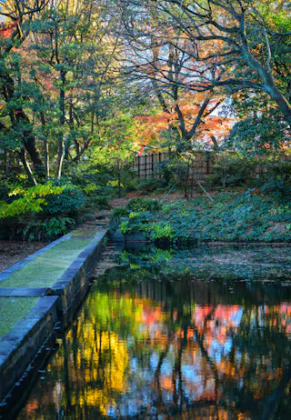 A tranquil garden scene with a pond reflecting colorful autumn trees, green plants, and a moss-covered stone path leading alongside the water. Sunlight filters through the trees, casting dappled light on the foliage.