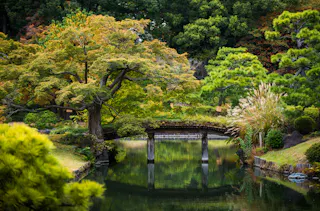 A serene Japanese garden featuring a stone bridge over a calm pond, surrounded by lush green trees and bushes, with reflections visible in the water.