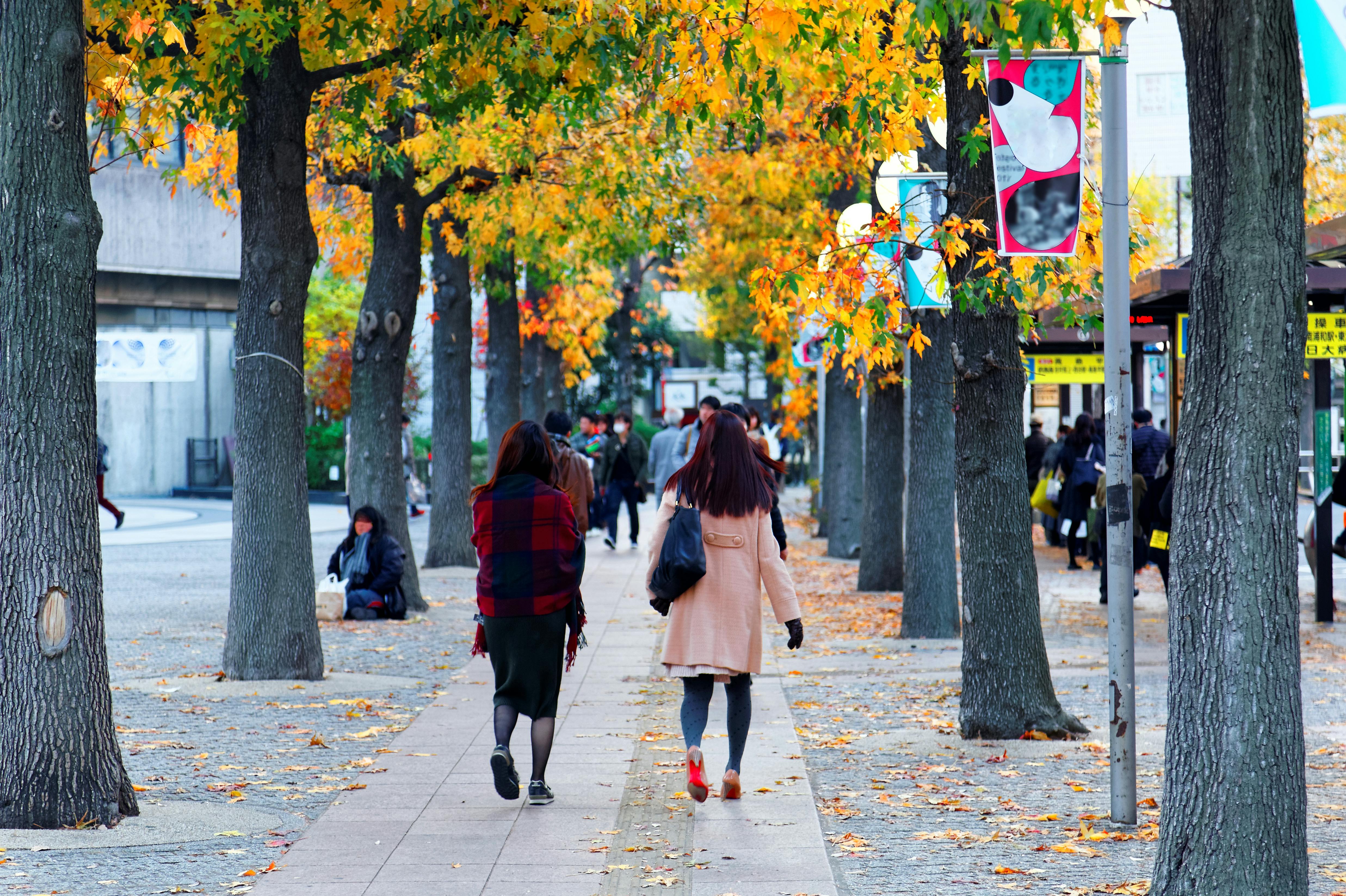 People walk along a tree-lined path with autumn leaves, some trees with yellow and orange foliage. The sidewalk is busy, with more people in the distance, and colorful flags hang from poles along the path.