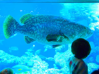 Tokyo Sea Life Park