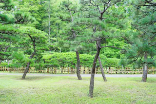 Jindai Botanical Gardens