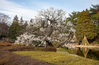 Jindai Botanical Gardens