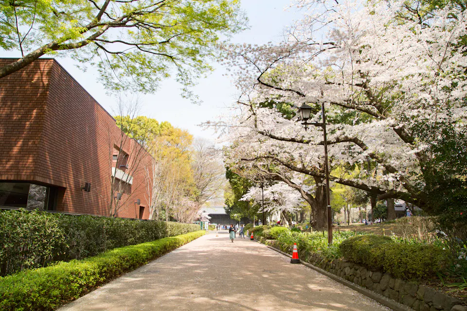 Tokyo Metropolitan Art Museum
