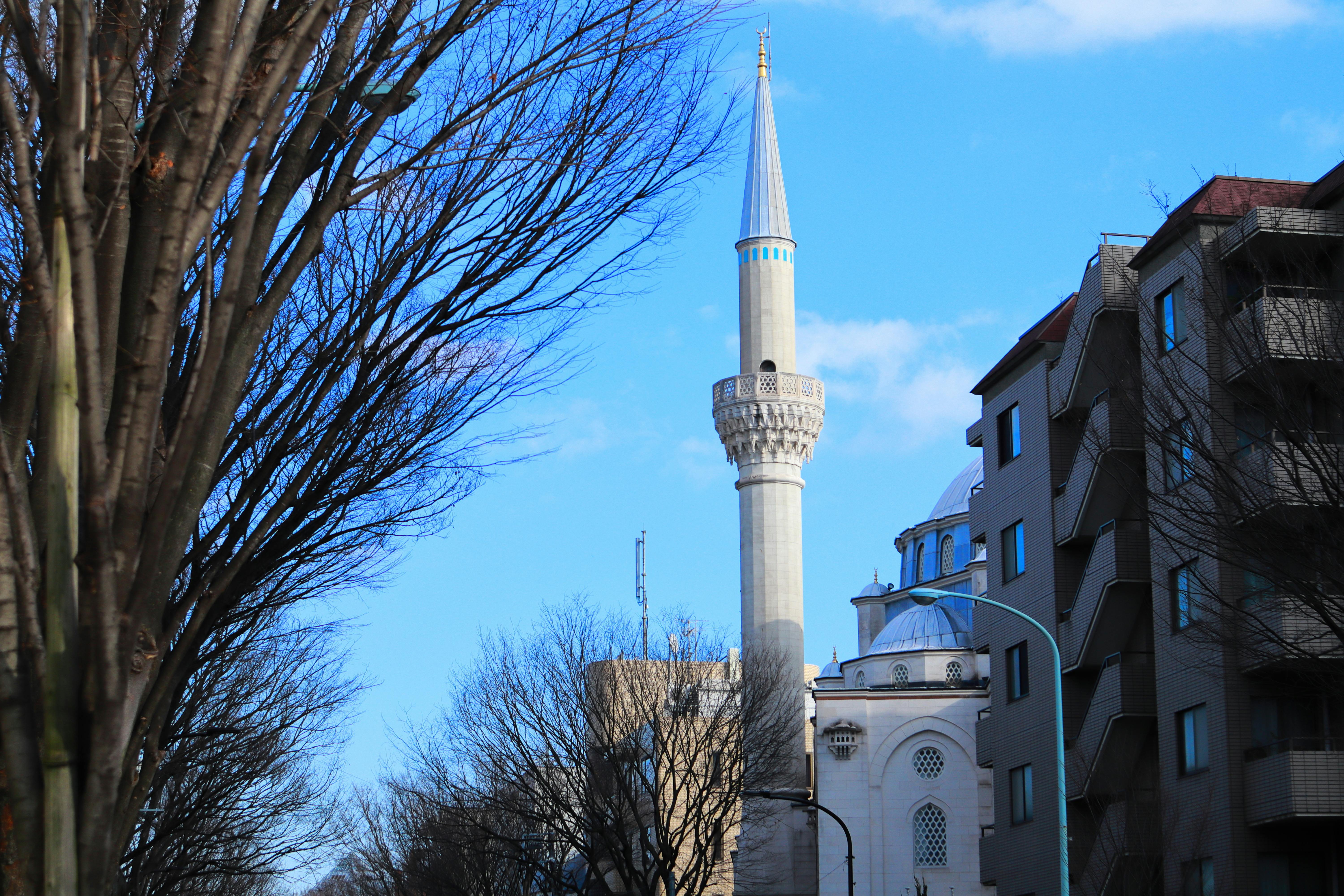 Tokyo Camii