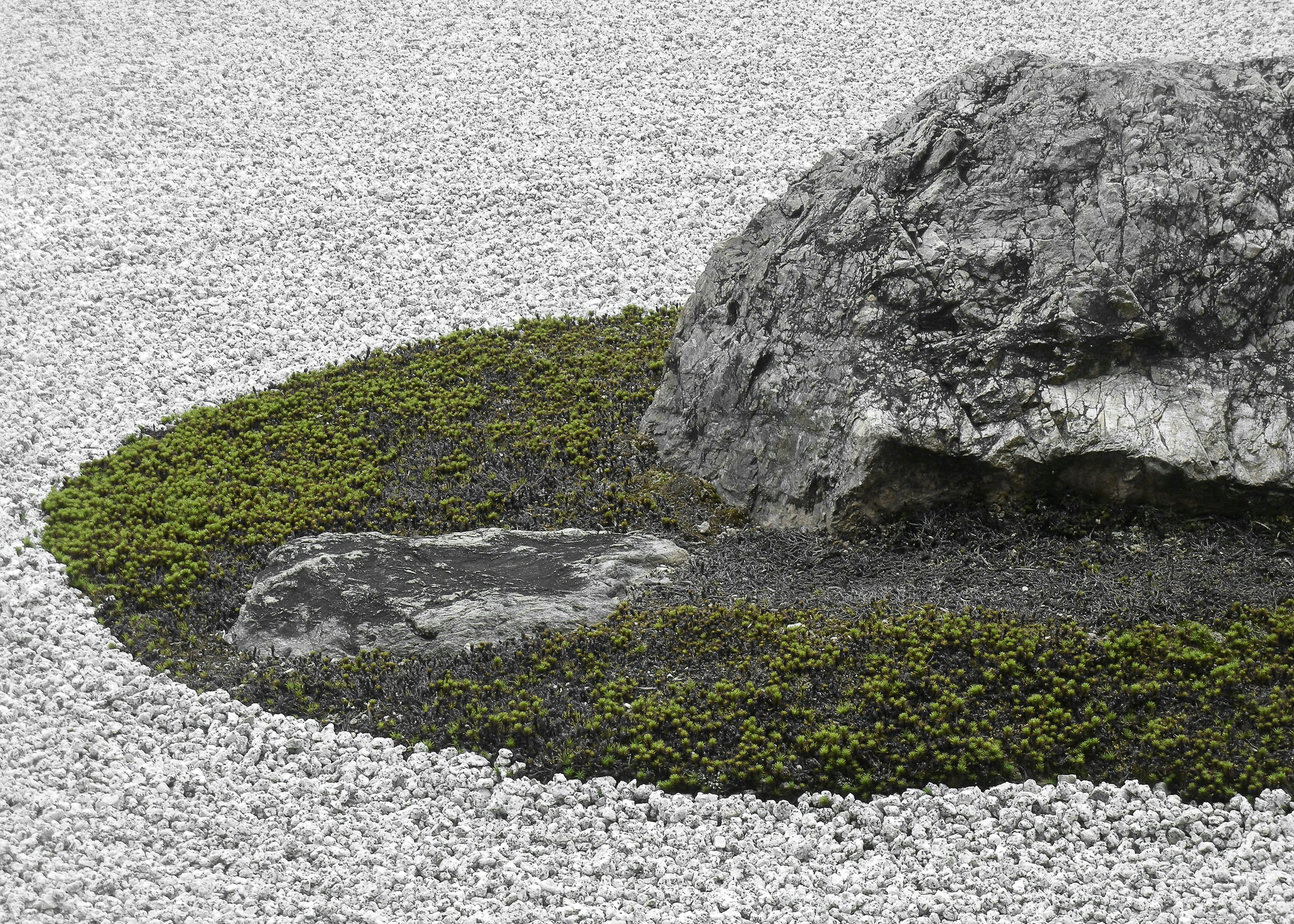 A large rock surrounded by a ring of green moss sits in a bed of carefully raked white gravel, resembling a minimalist Japanese Zen garden.