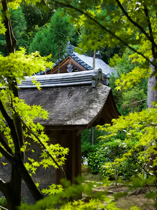 A traditional Japanese wooden roof partly hidden by vibrant green foliage and surrounded by lush trees, suggesting a tranquil garden or temple setting.