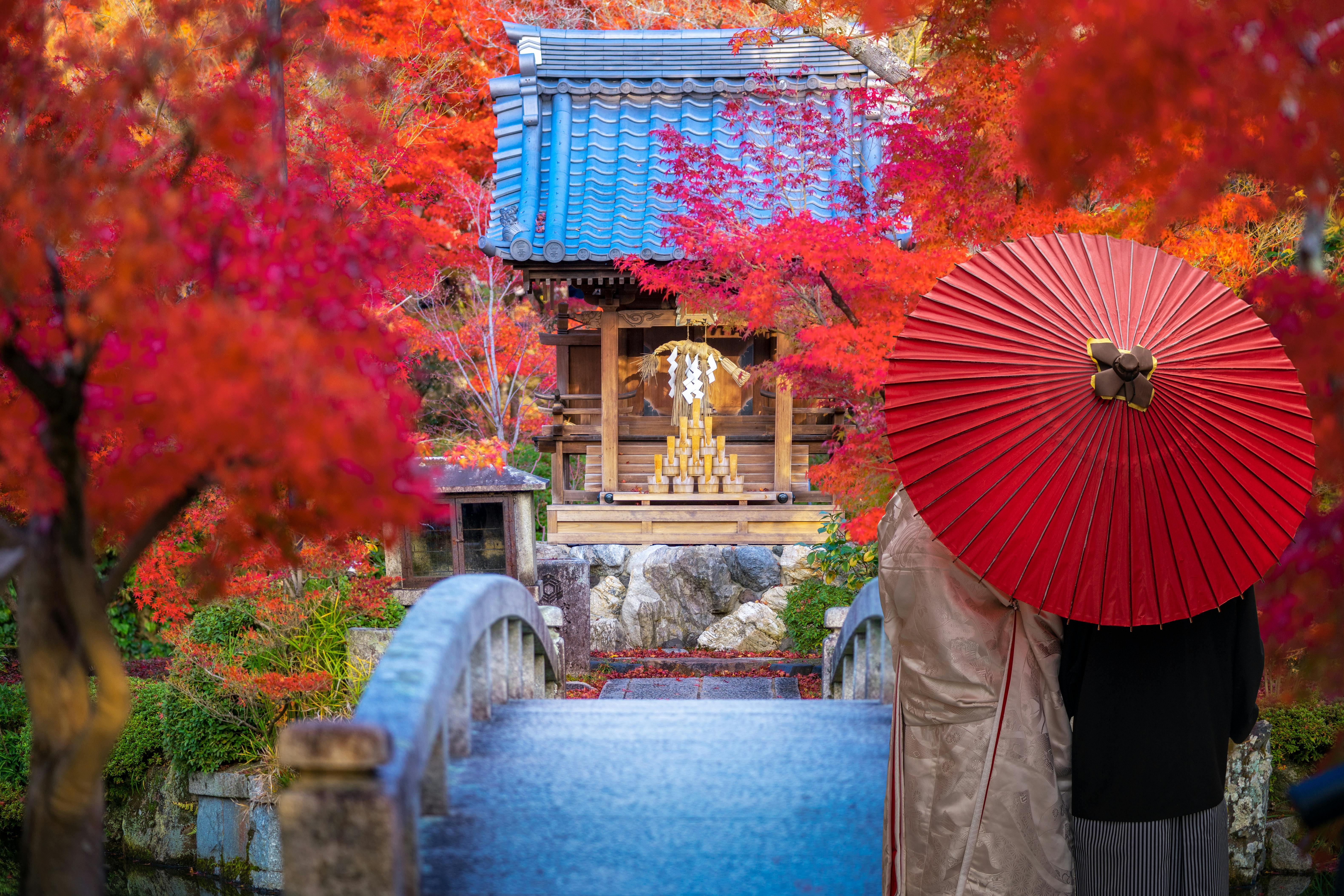 A couple stands on a stone bridge under a vibrant red umbrella, surrounded by vivid red and orange autumn foliage, facing a small traditional Japanese shrine with a blue-tiled roof.