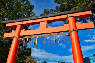 A bright red torii gate decorated with shimenawa rope and paper shide stands against a blue sky, surrounded by green trees.